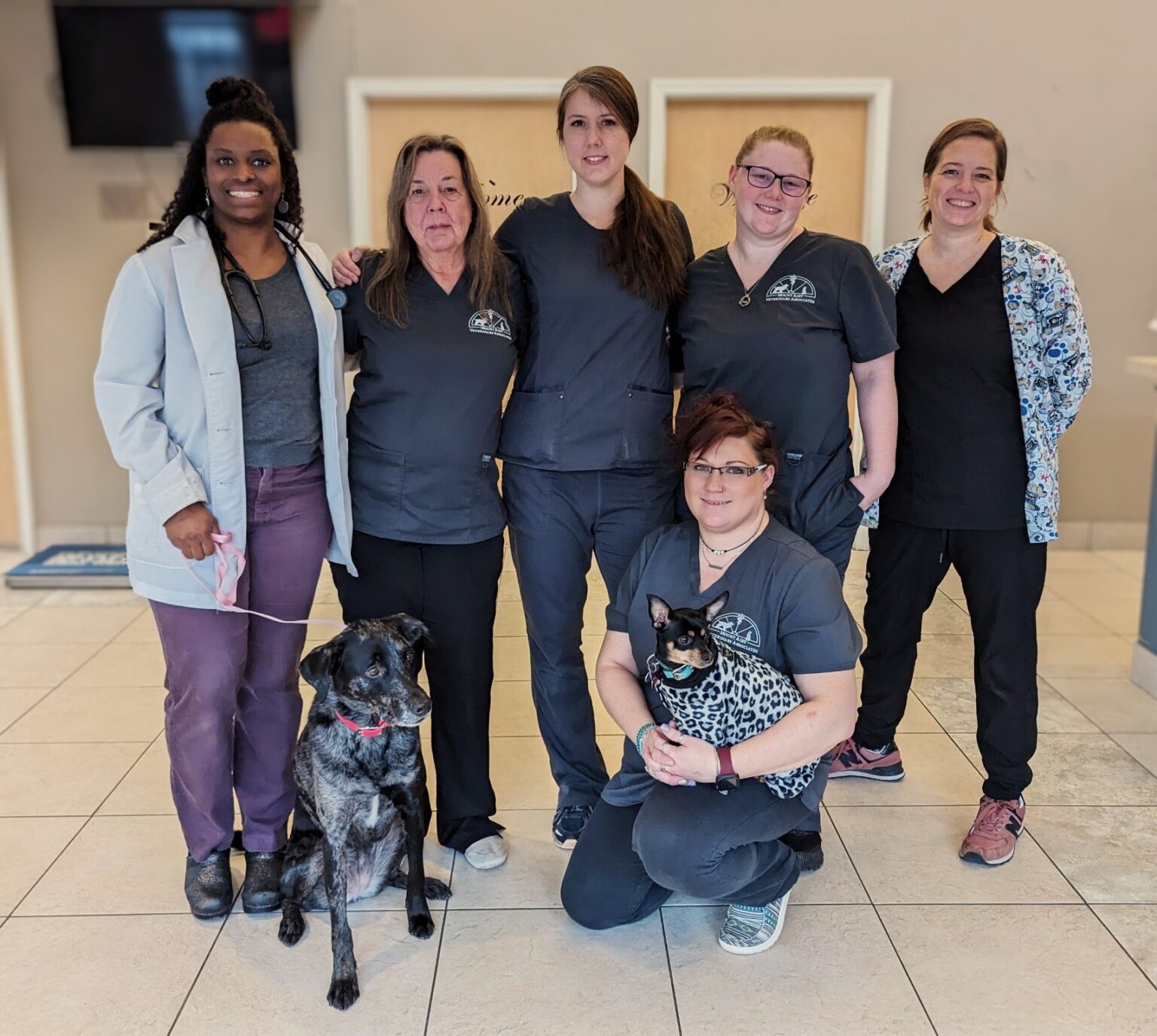 Our Team Mt. Airy Veterinary Associates — Mt. Airy Veterinarian