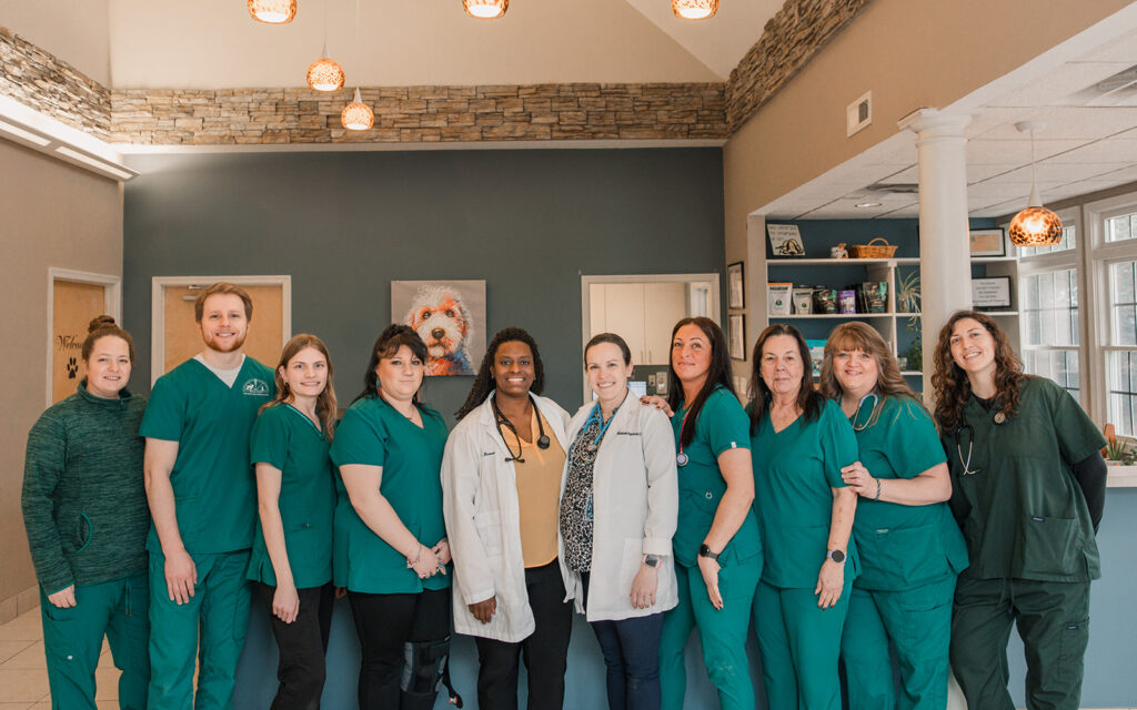 At Mount Airy Veterinary Associates, we are known for serving our patients and clients with compassion, empathy, and integrity. We also take pride in maintaining a happy and healthy working environment. If you are interested in becoming part of the Mount Airy Veterinary Associates team, please reach out to us about available positions.